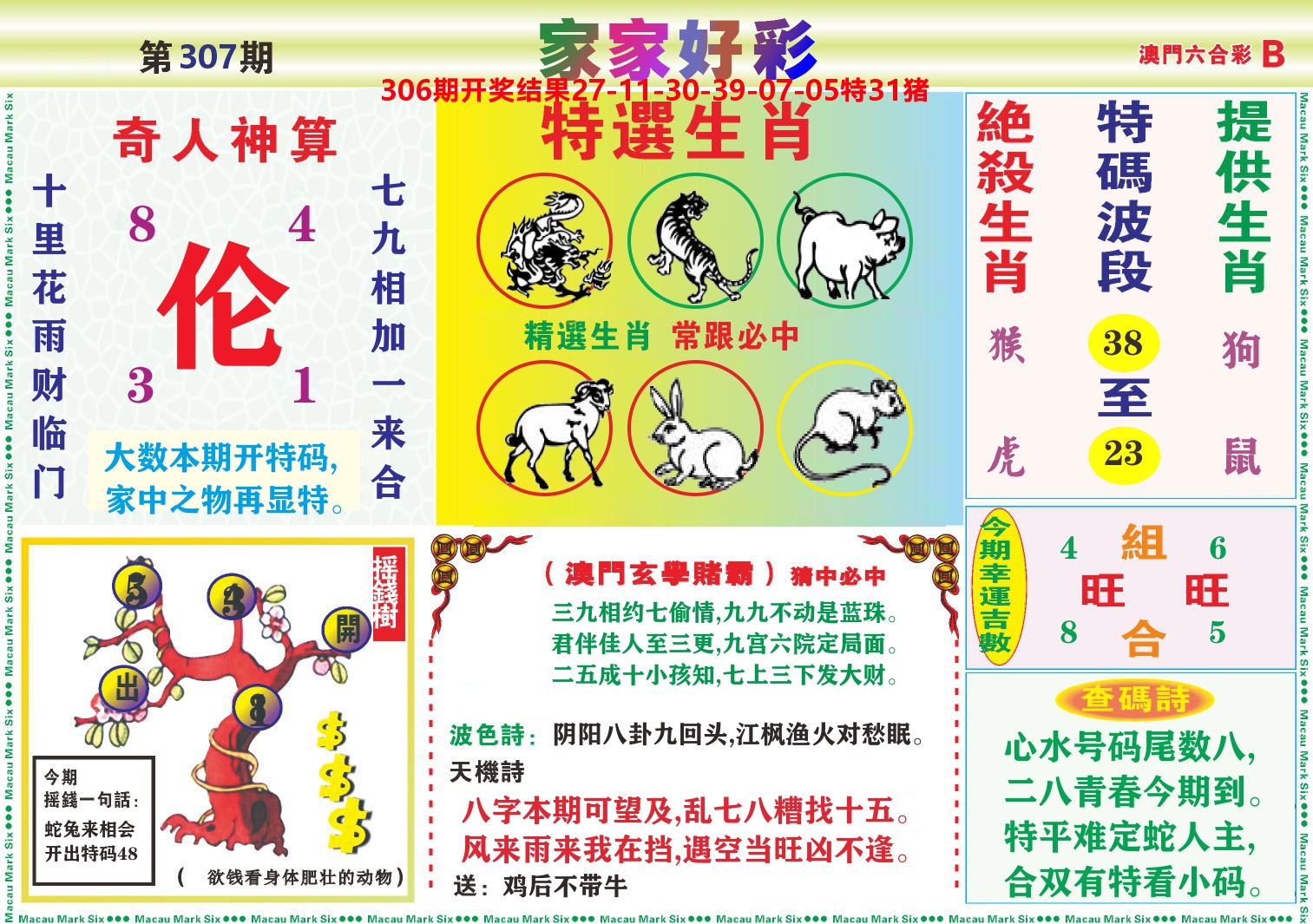 家家好彩B 第307期