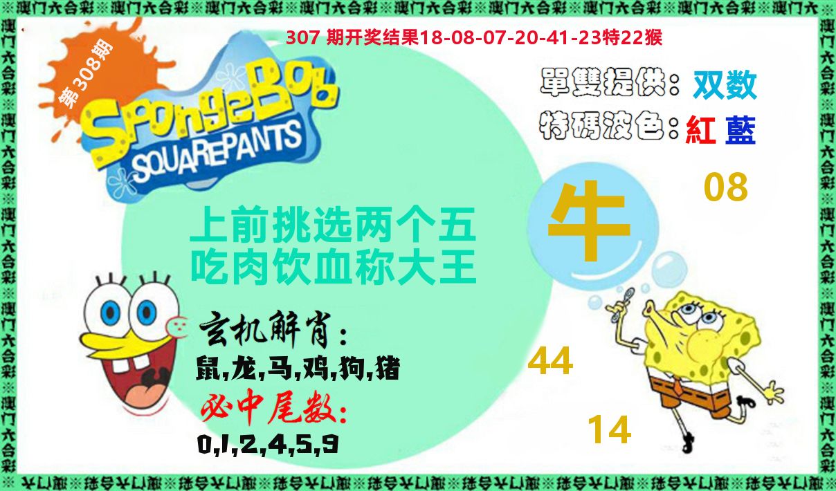 新特码玄机 第308期