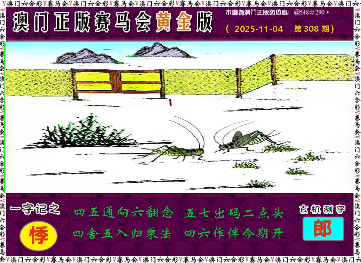 赛马会黄金版 第308期