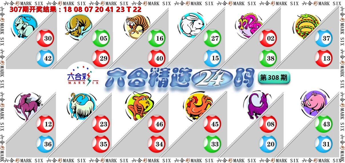 六合精选24码 第308期