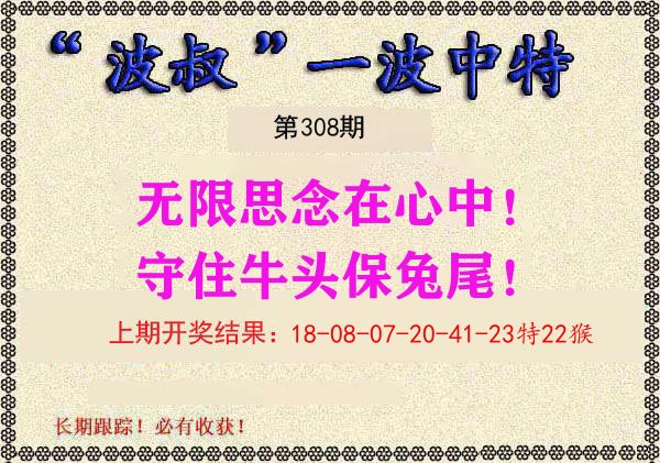 波叔中特 第308期