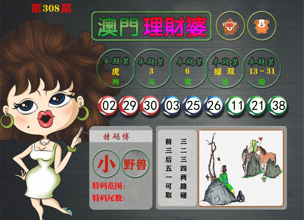 理财婆 第308期