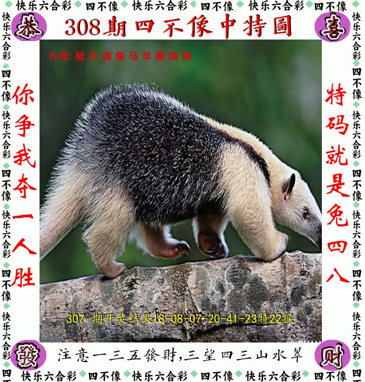 四不像 第308期
