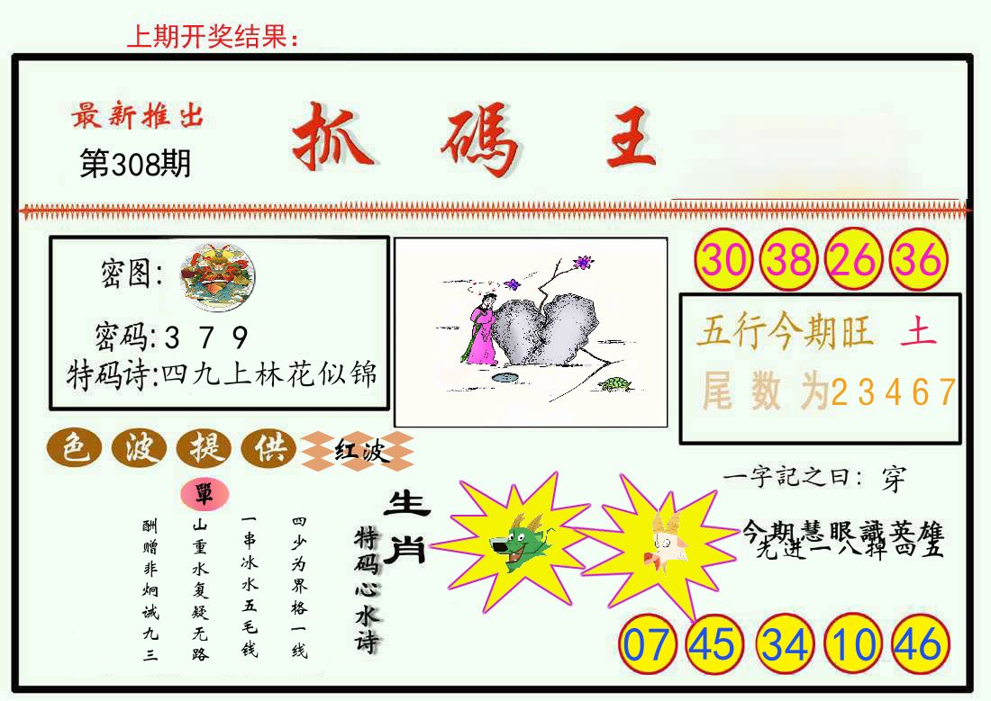 最新抓码王 第308期