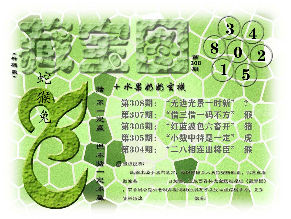 藏宝图奶奶玄机 第308期