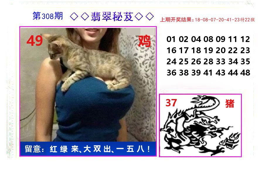 翡翠秘芨 第308期