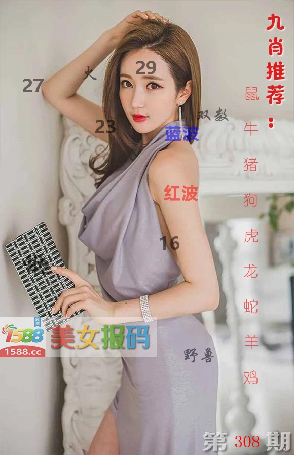 美女报码 第308期