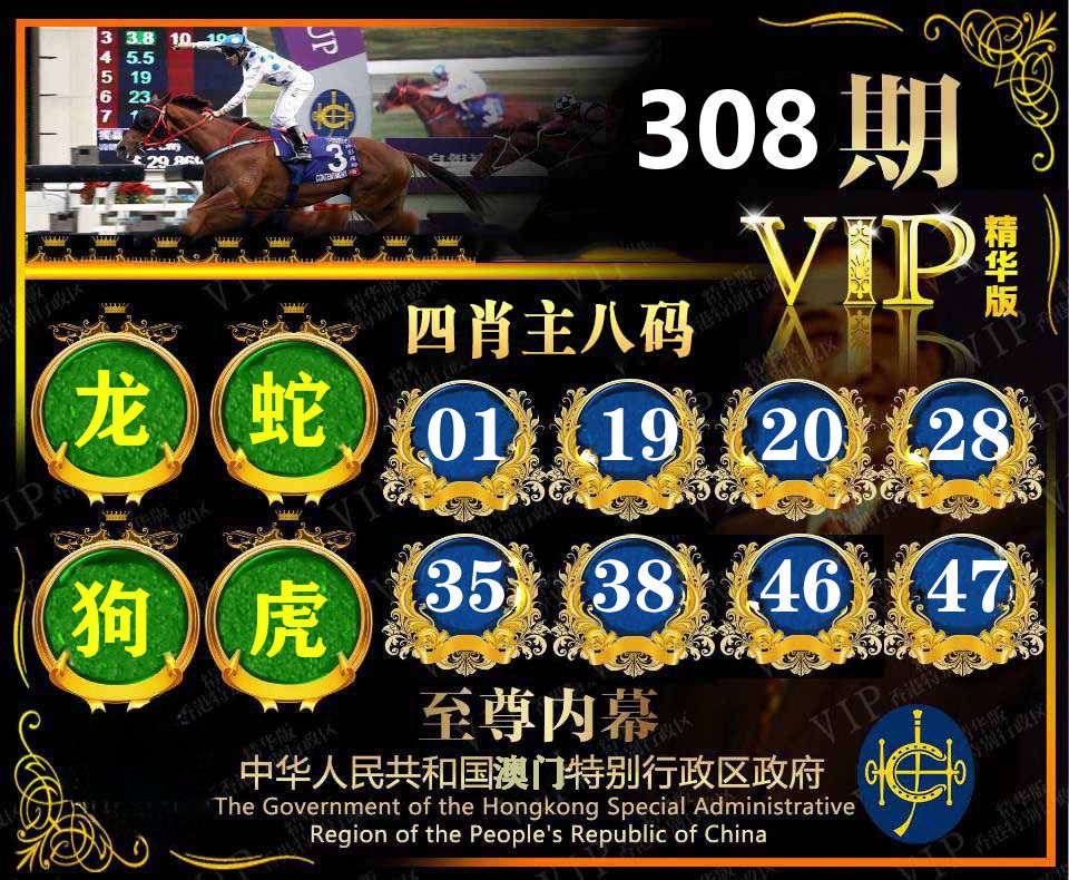 精华四肖八码 第308期