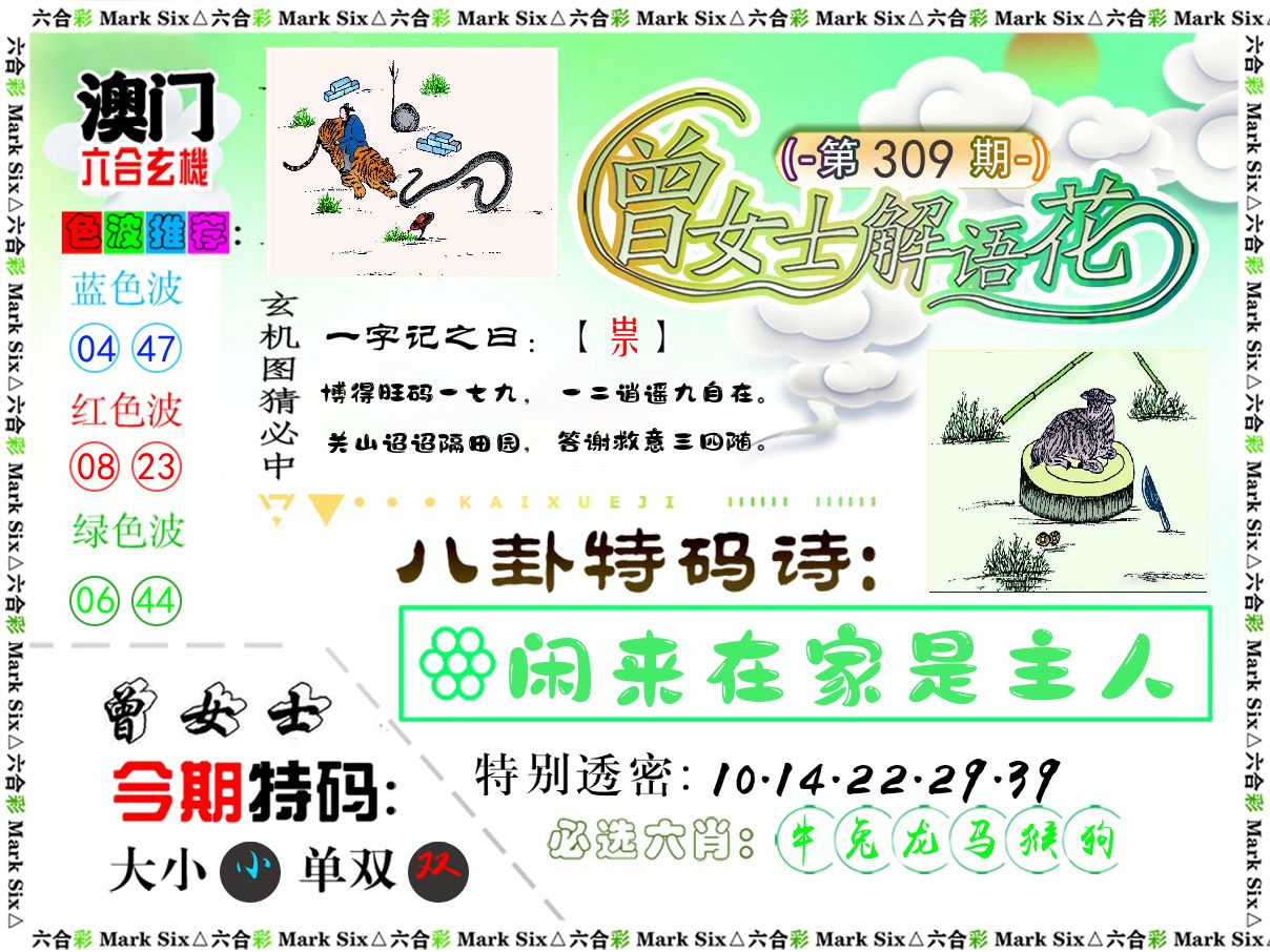 曾女士解语花 第309期