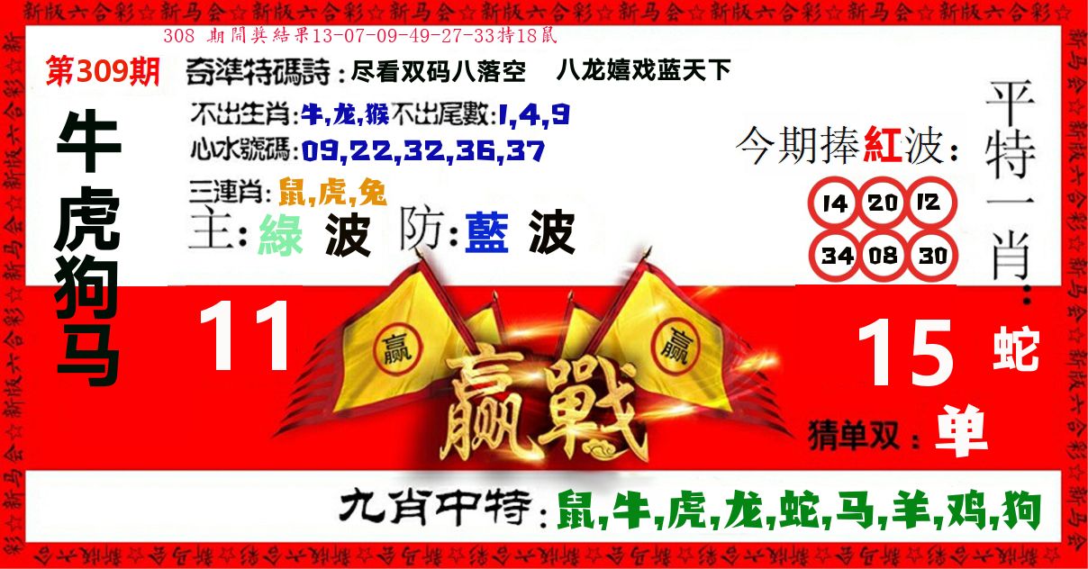 赢站 第309期
