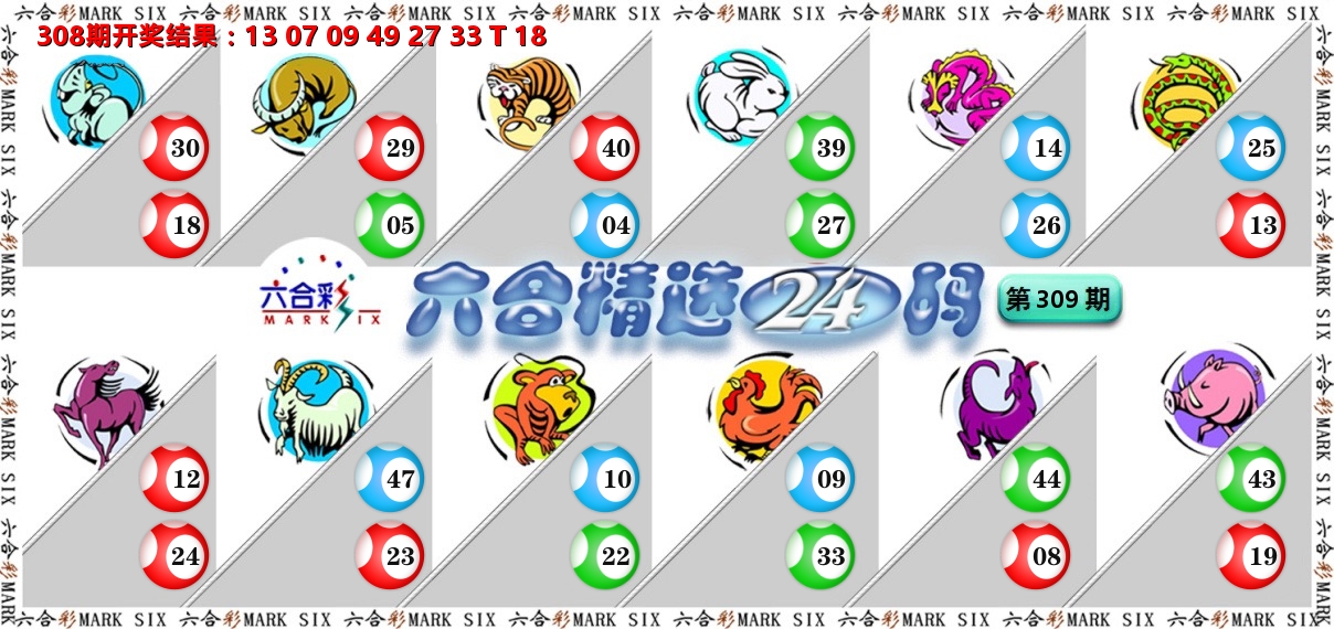 六合精选24码 第309期