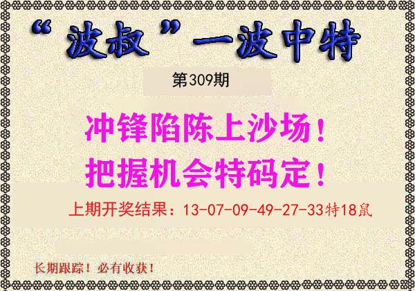 波叔中特 第309期