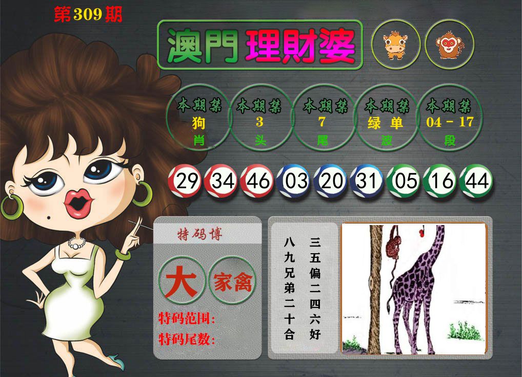 理财婆 第309期