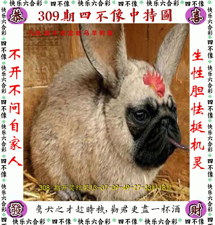 四不像 第309期