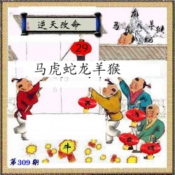 挂牌系列12 第309期