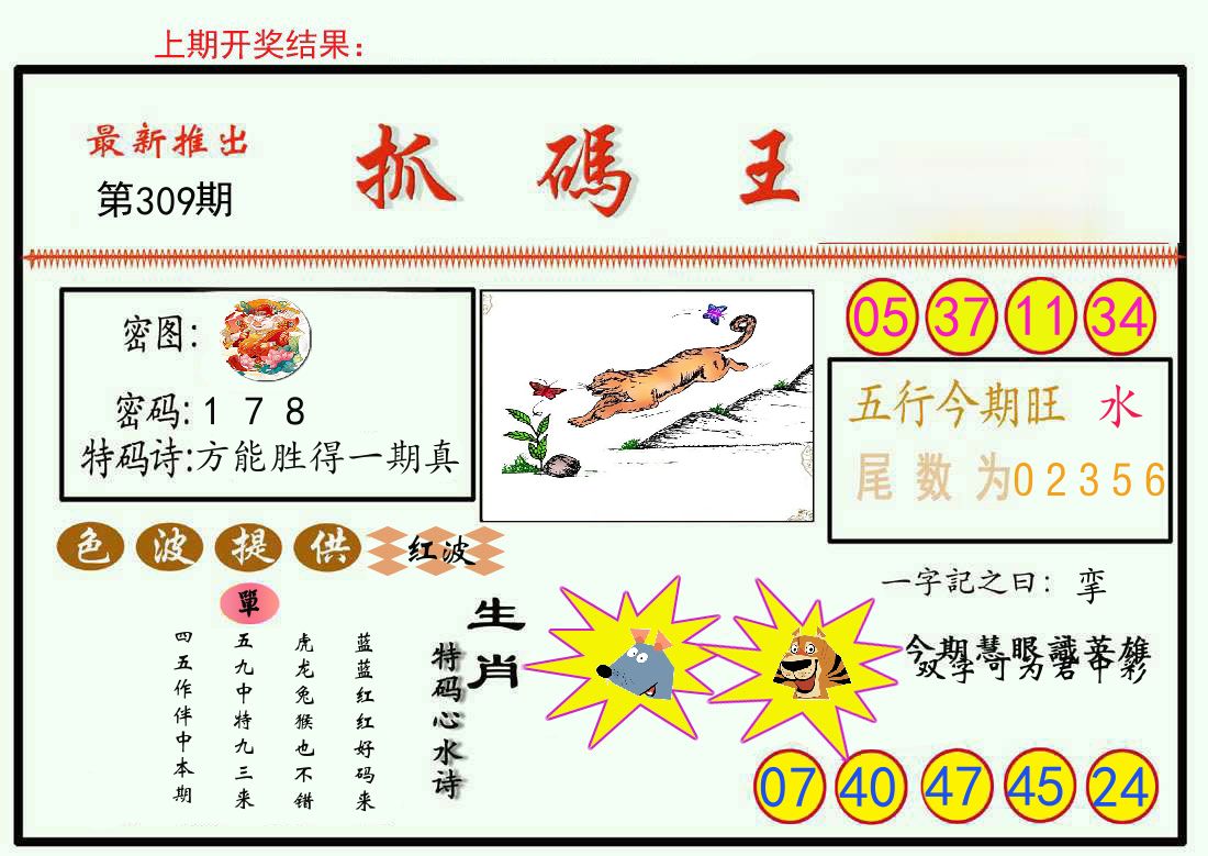 最新抓码王 第309期