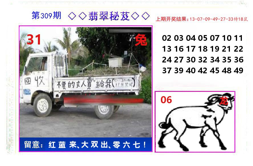 翡翠秘芨 第309期