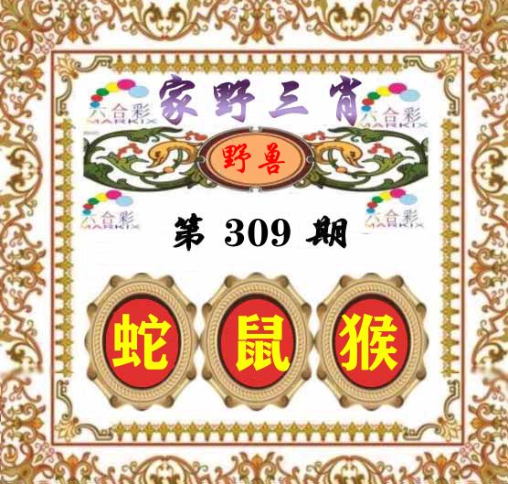 家野三肖 第309期