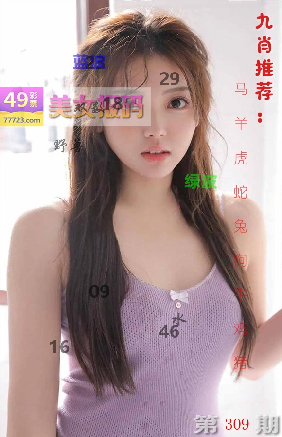 美女报码 第309期