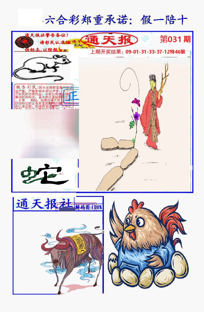 通天报 第31期