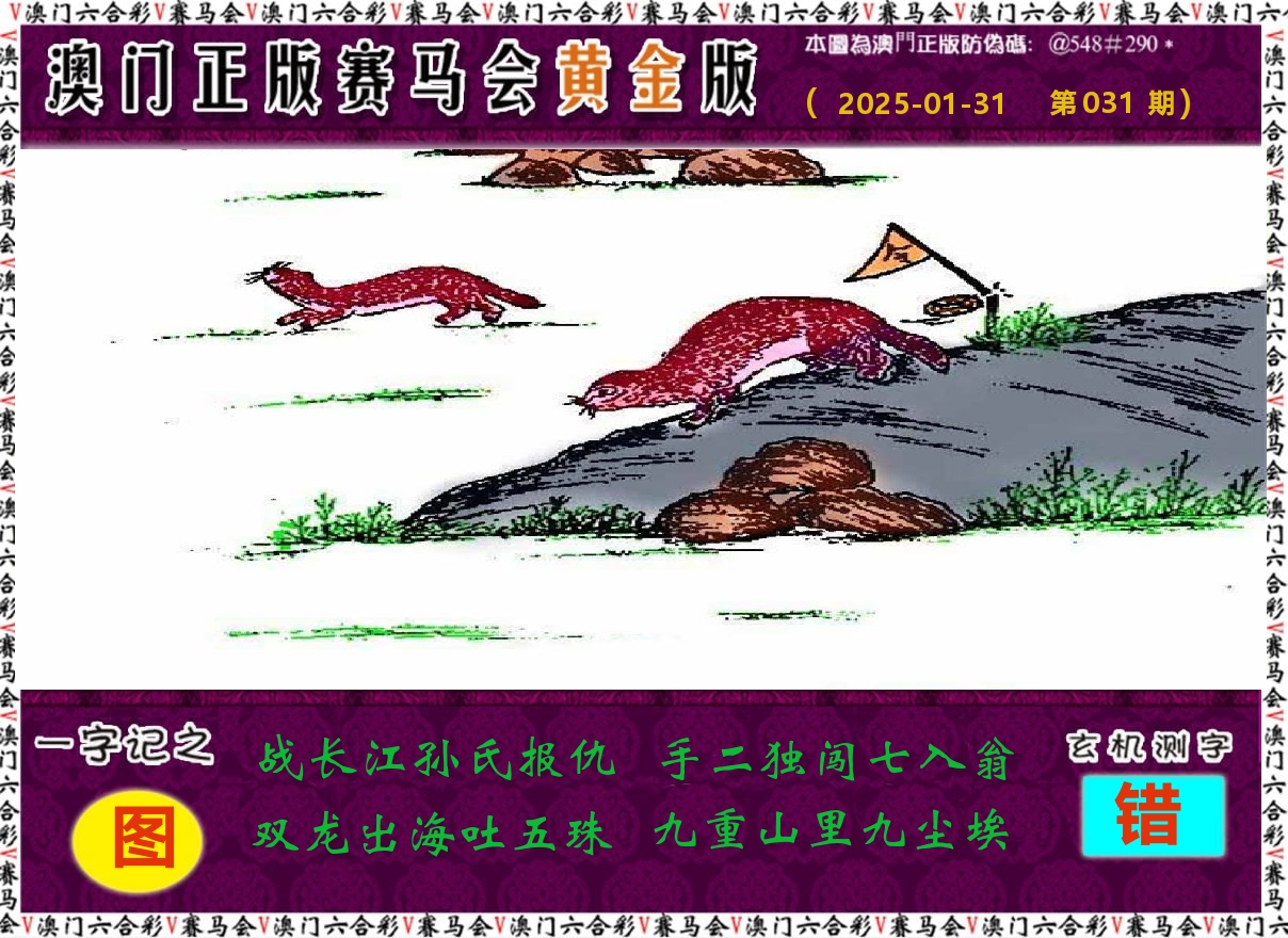 赛马会黄金版 第31期