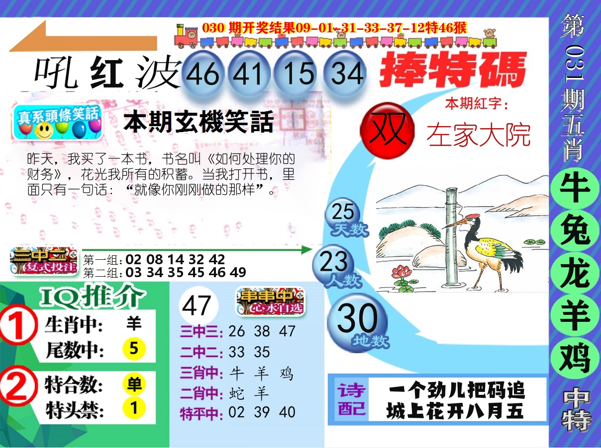 新特报 第31期