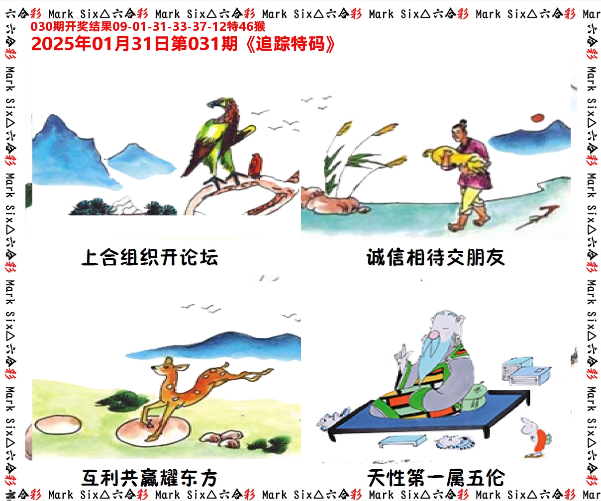 追踪特码 第31期