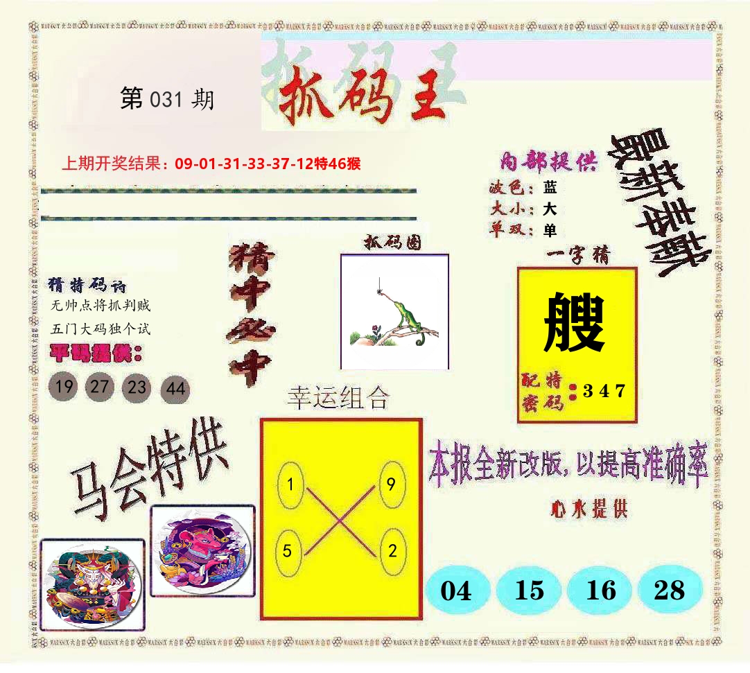 抓码王 第31期