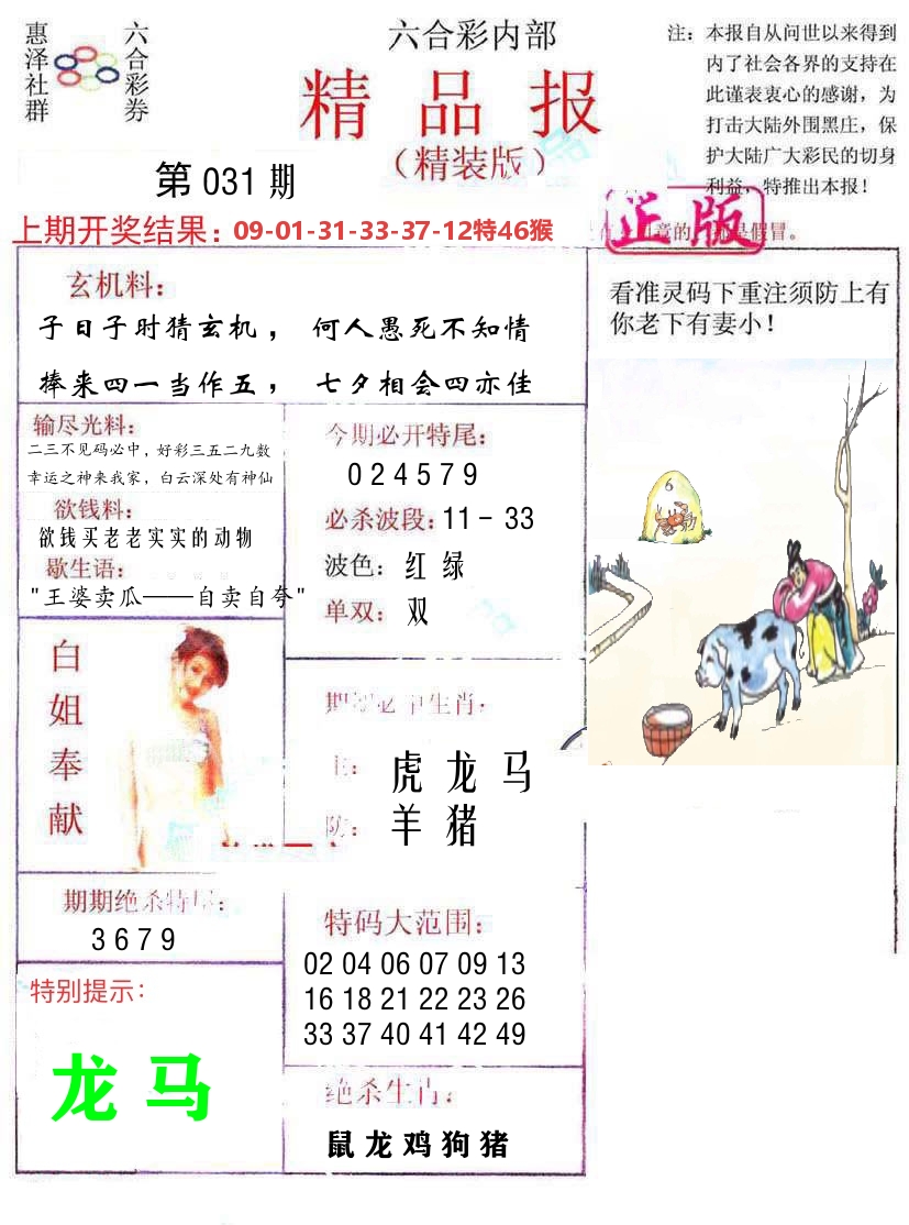 精品报 第31期
