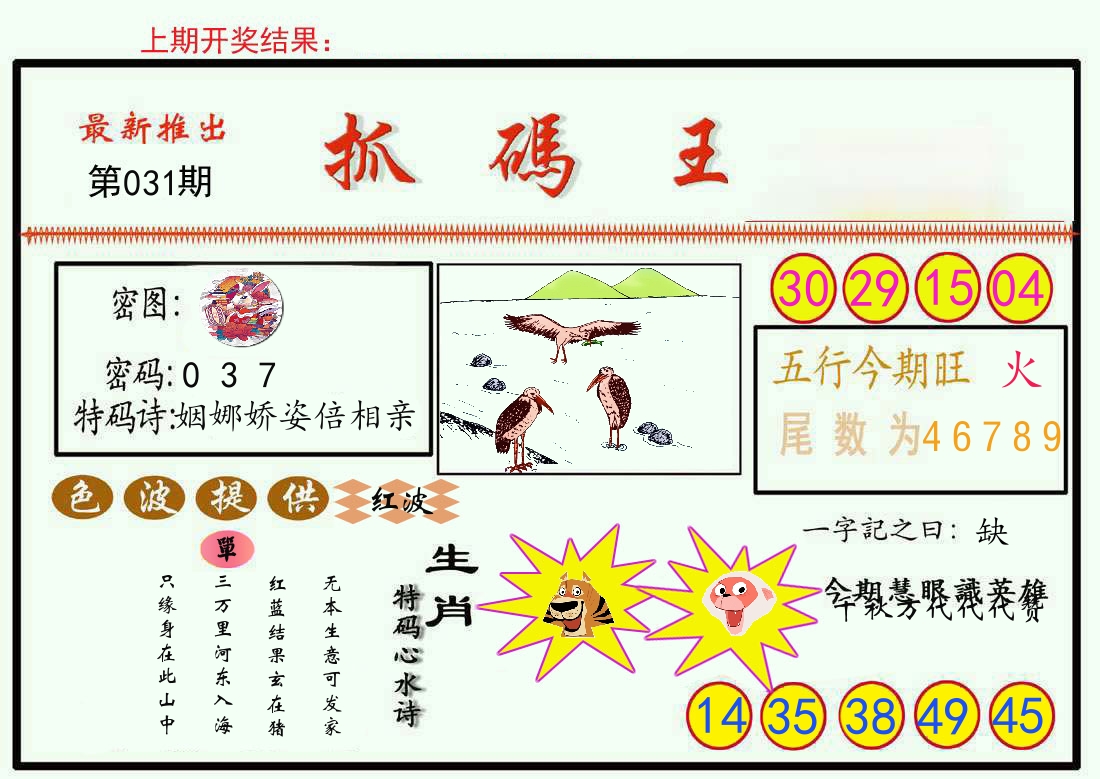 最新抓码王 第31期