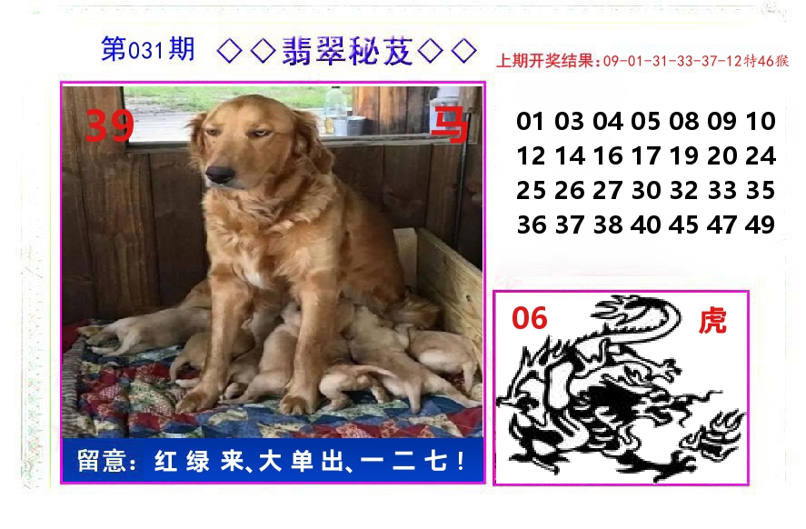 翡翠秘芨 第31期