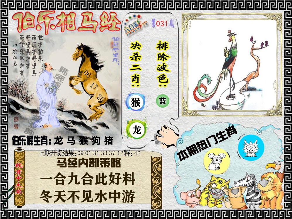 伯乐相马经 第31期