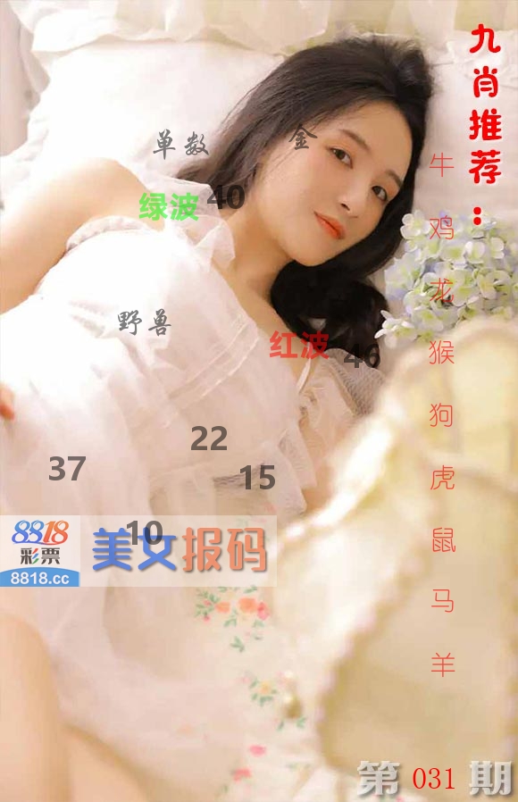 美女报码 第31期