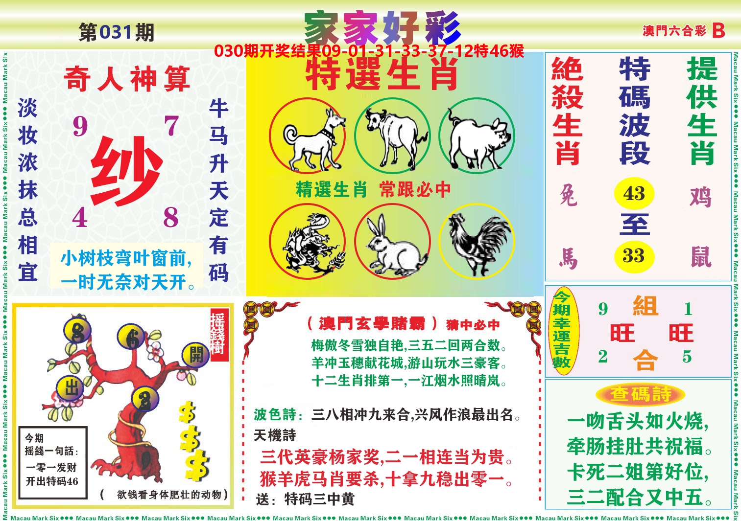 家家好彩B 第31期