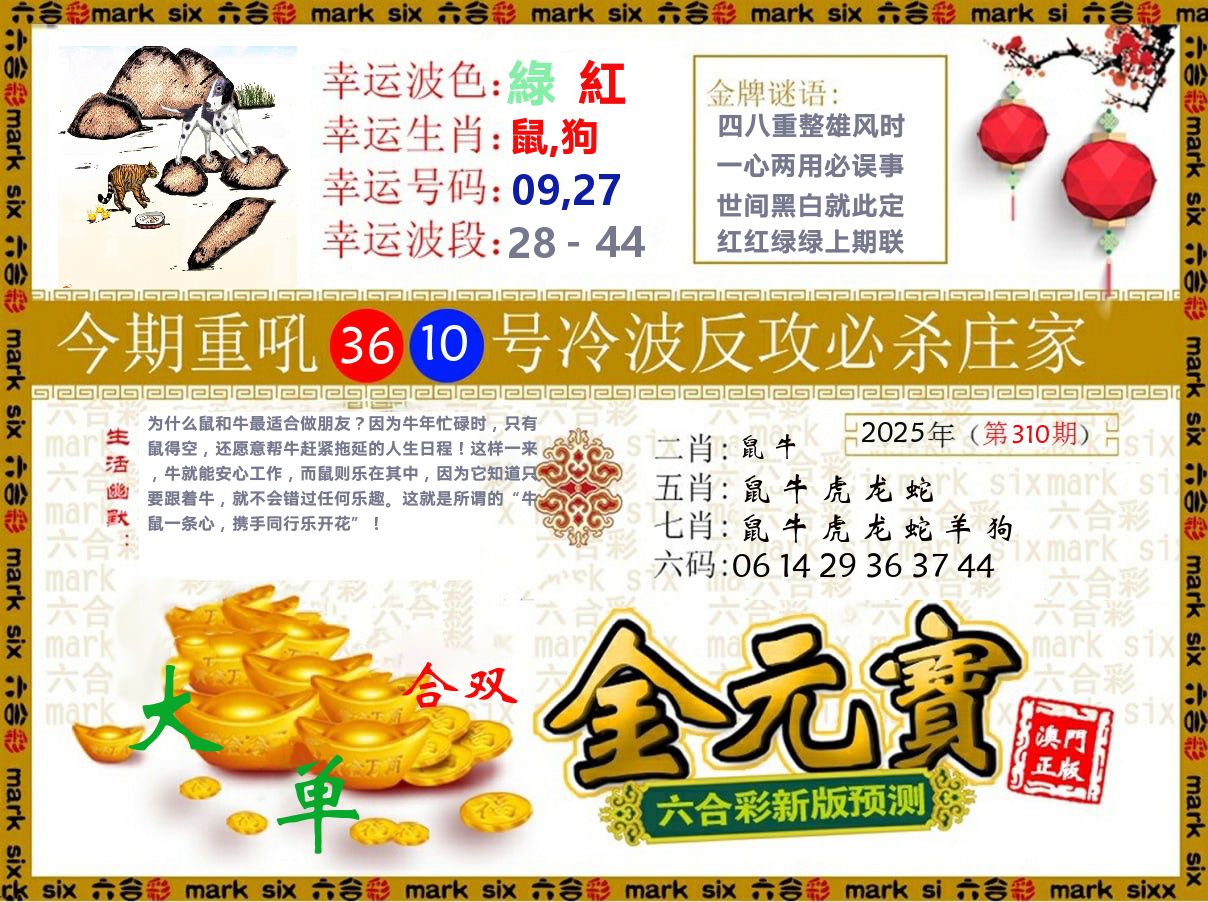 金元宝 第310期