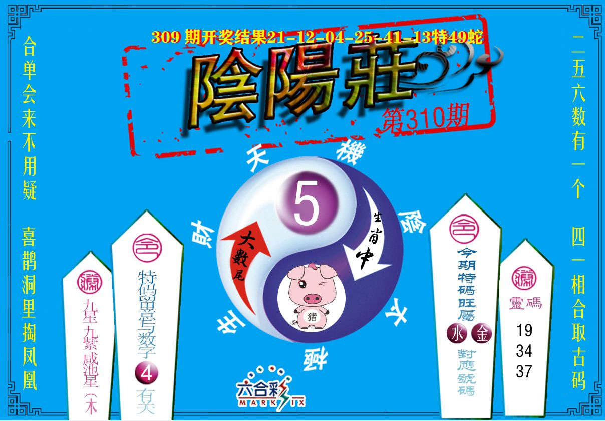 阴阳庄 第310期
