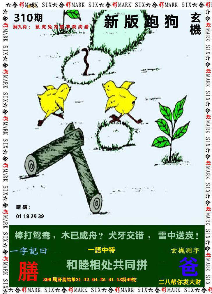 悟入其图 第310期
