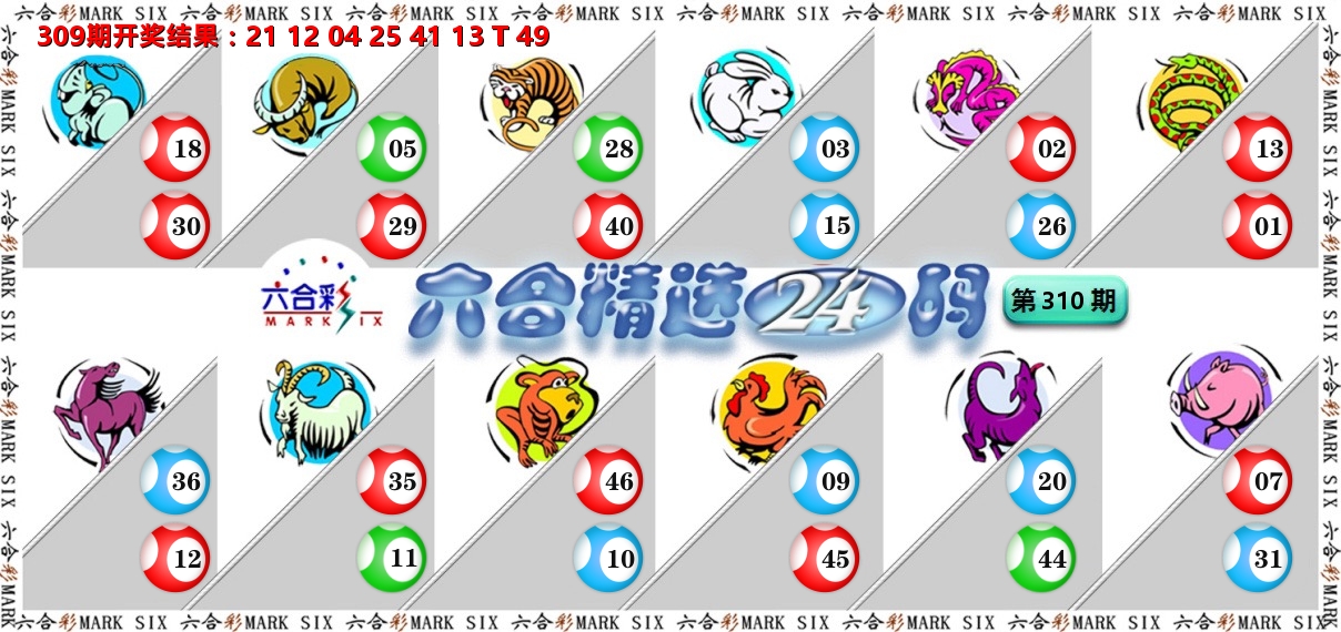 六合精选24码 第310期