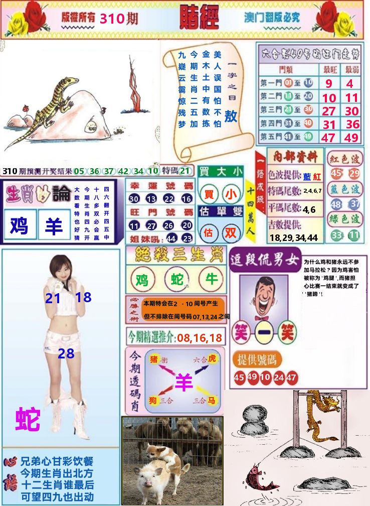 澳门赌经 第310期