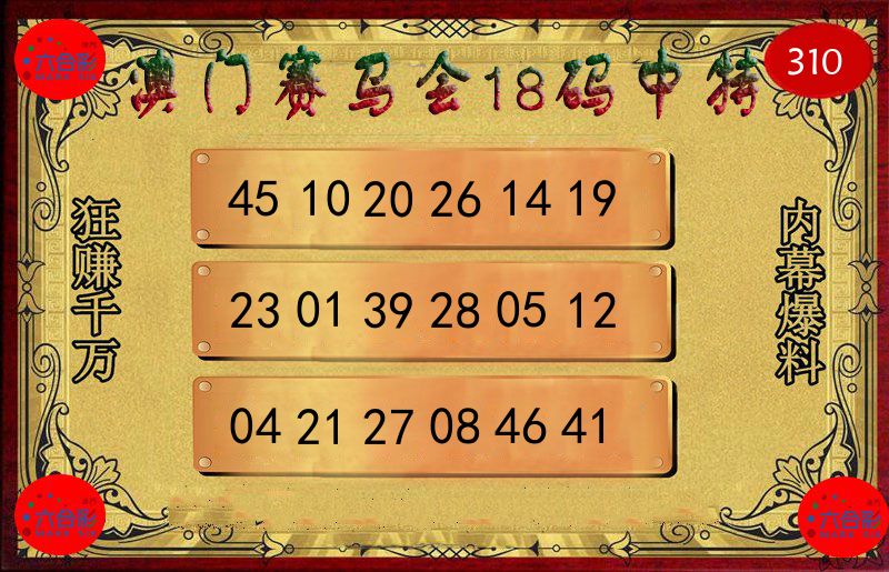 赛马会18码 第310期