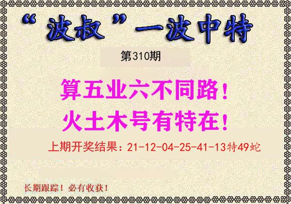 波叔中特 第310期