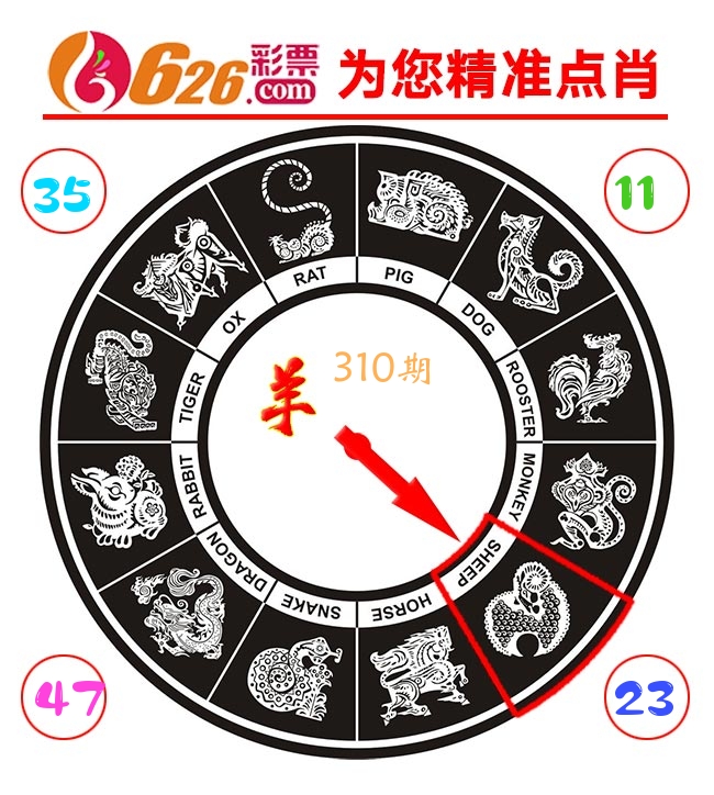 精准点肖 第310期