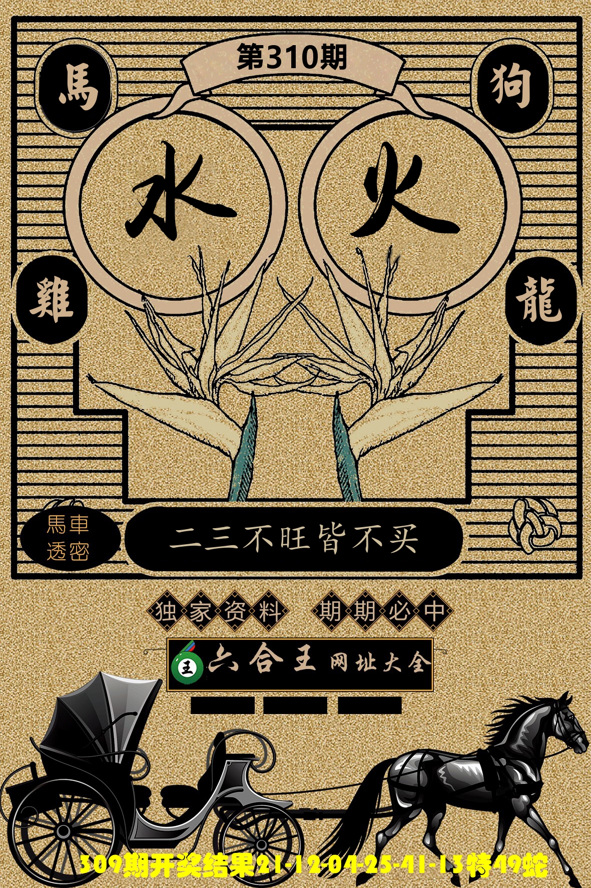 六合王马车透密 第310期