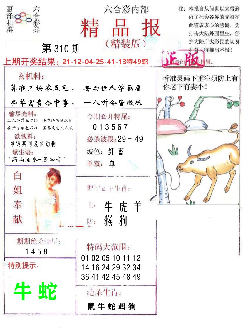 精品报 第310期