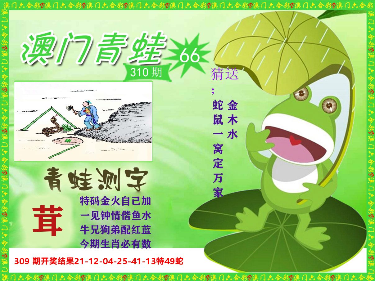 青蛙系列66 第310期