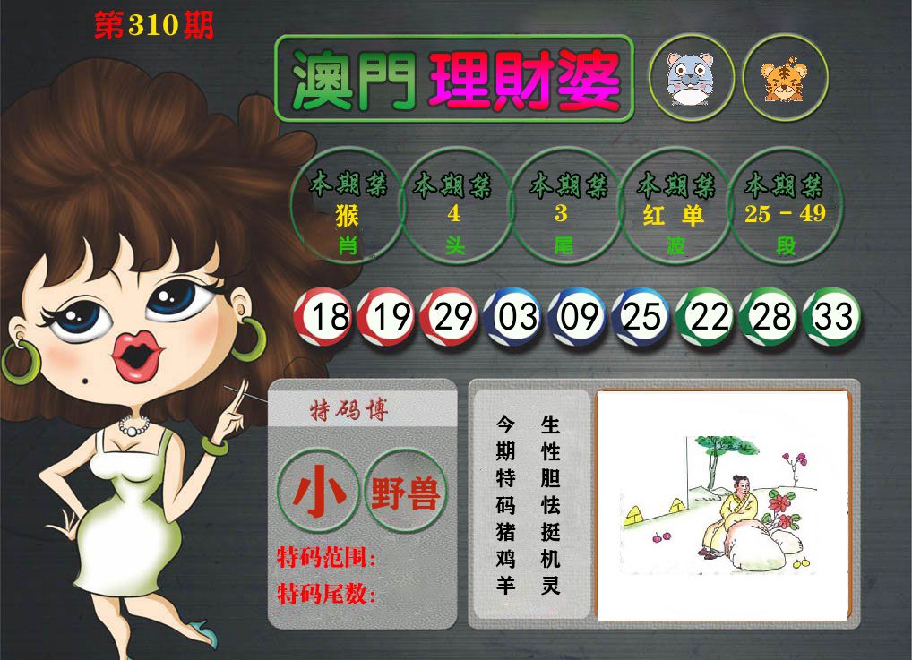 理财婆 第310期