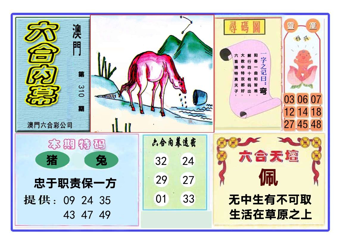六合内幕 第310期