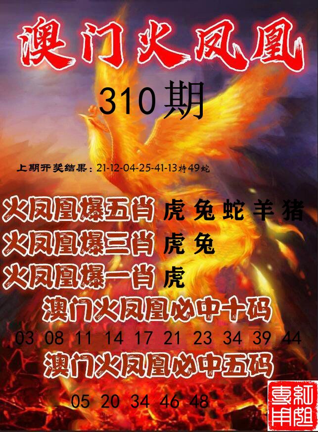 火凤凰 第310期