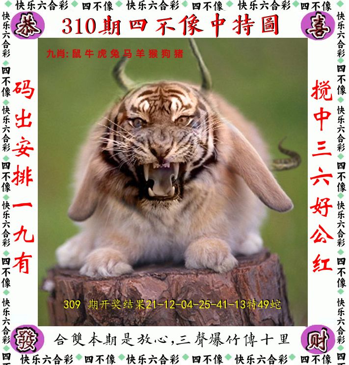四不像 第310期