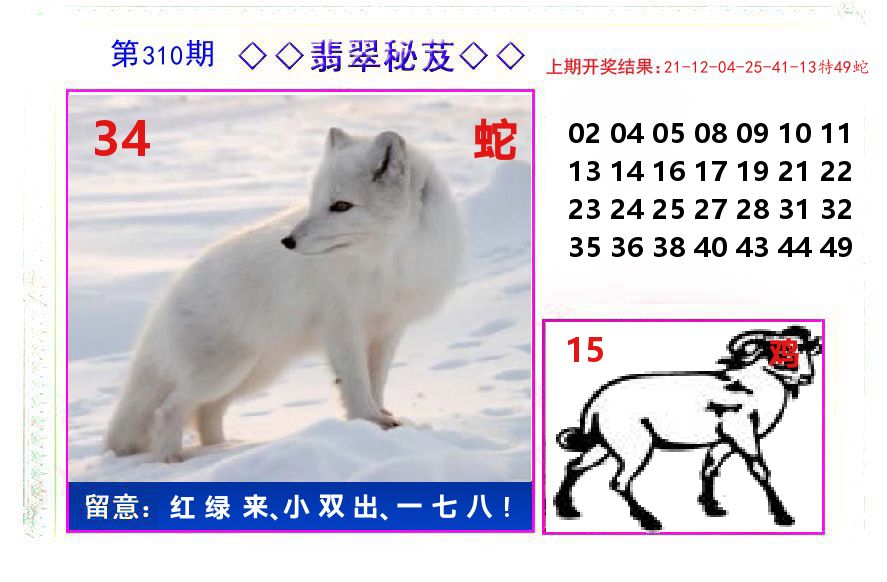 翡翠秘芨 第310期